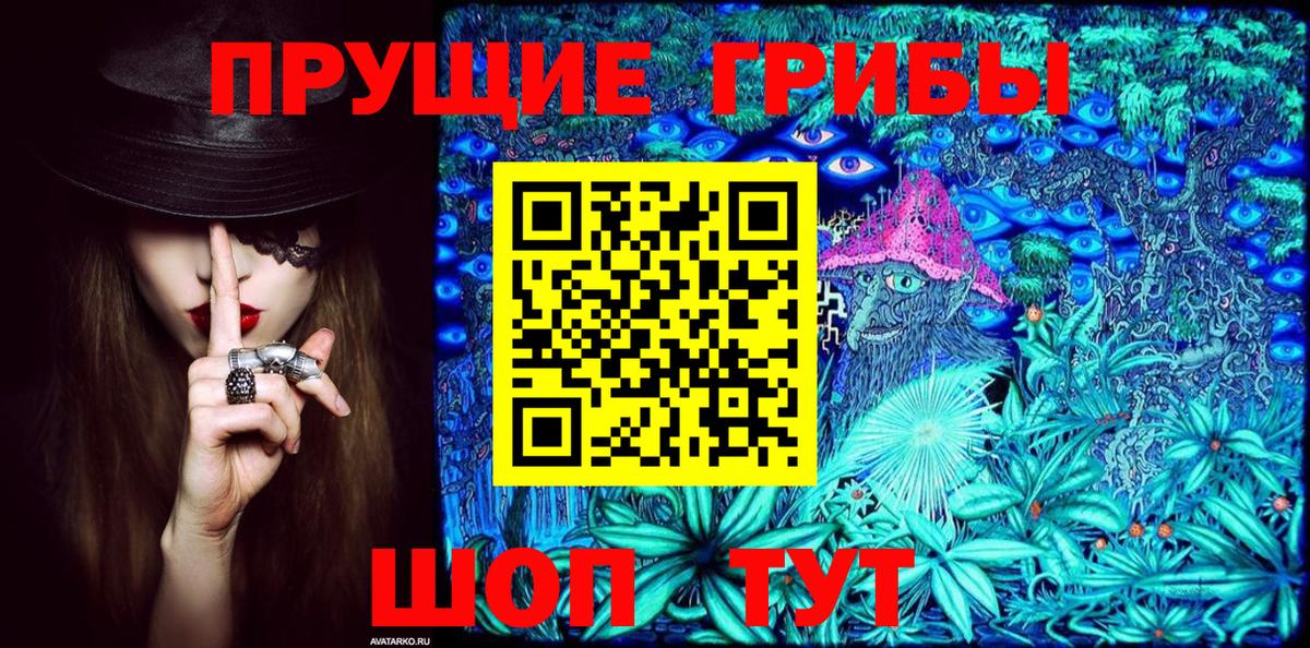 Псилоцибиновые грибы мицелий  Псилоцибиновые грибы Cubensis  Вход с VPN  Ессентуки 